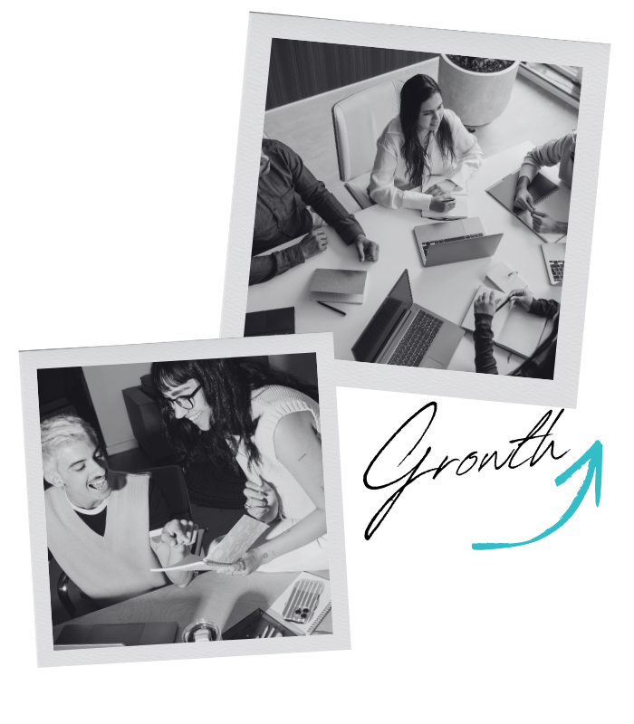 business growth consultancy